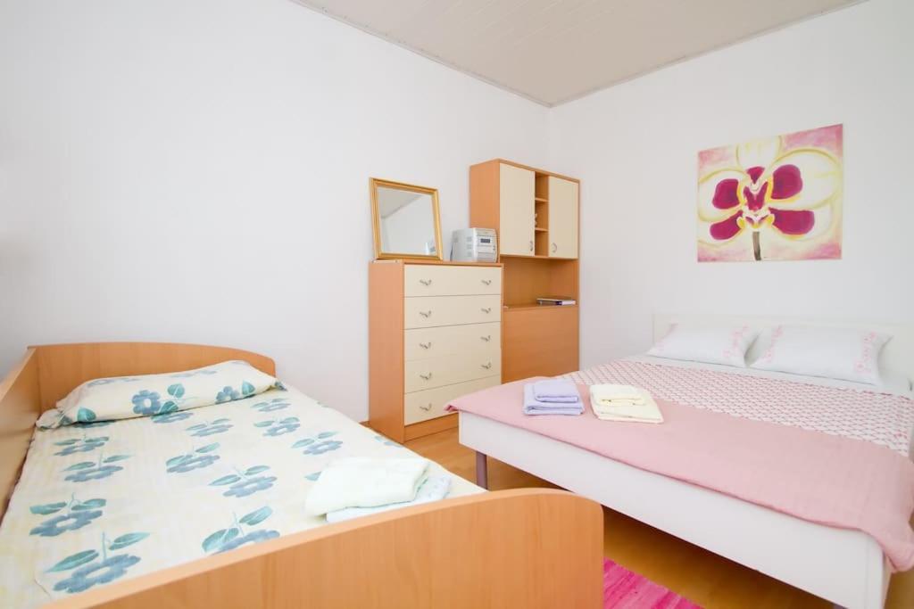 Cozy Rooms In Nature, Perfect For Relax Ilirska Bistrica Exteriér fotografie