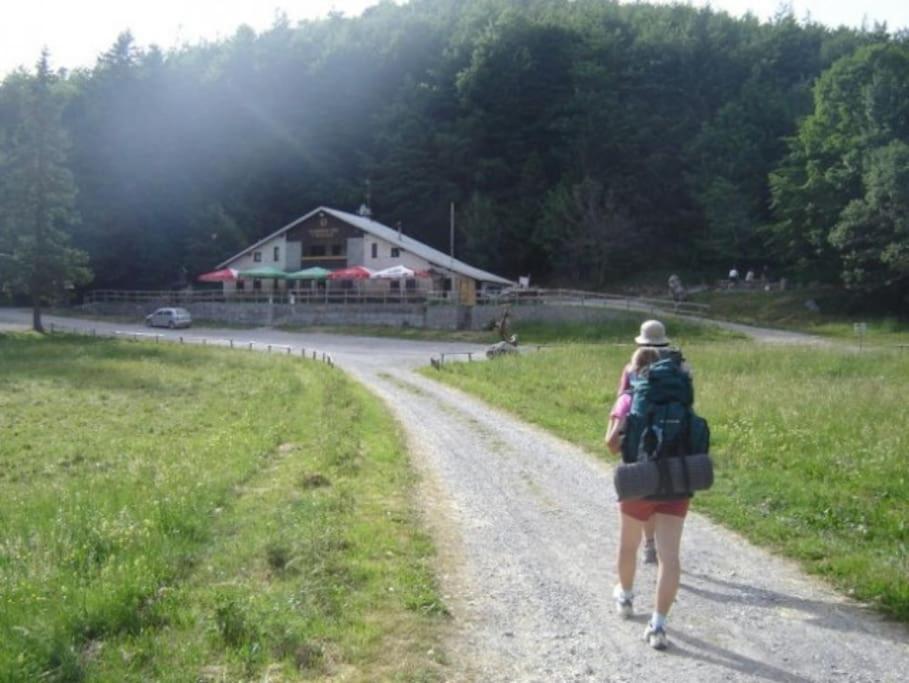 Cozy Rooms In Nature, Perfect For Relax Ilirska Bistrica Exteriér fotografie